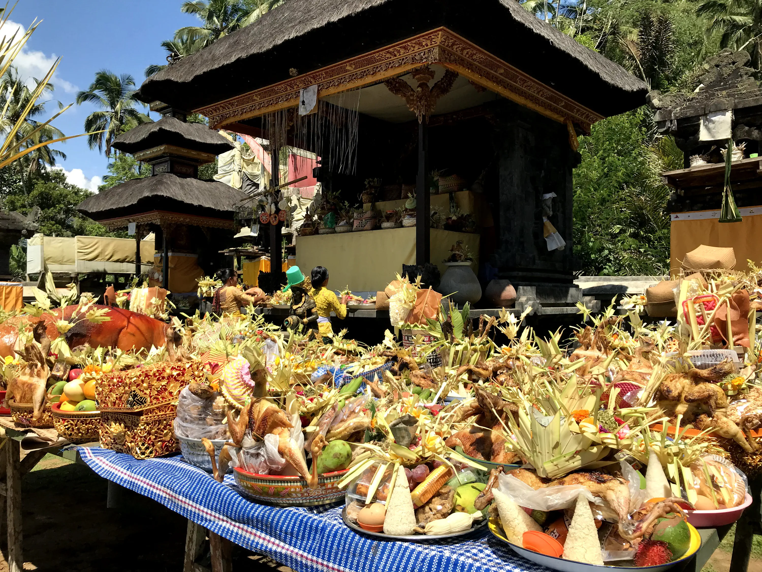 Nyepi Day Celebration