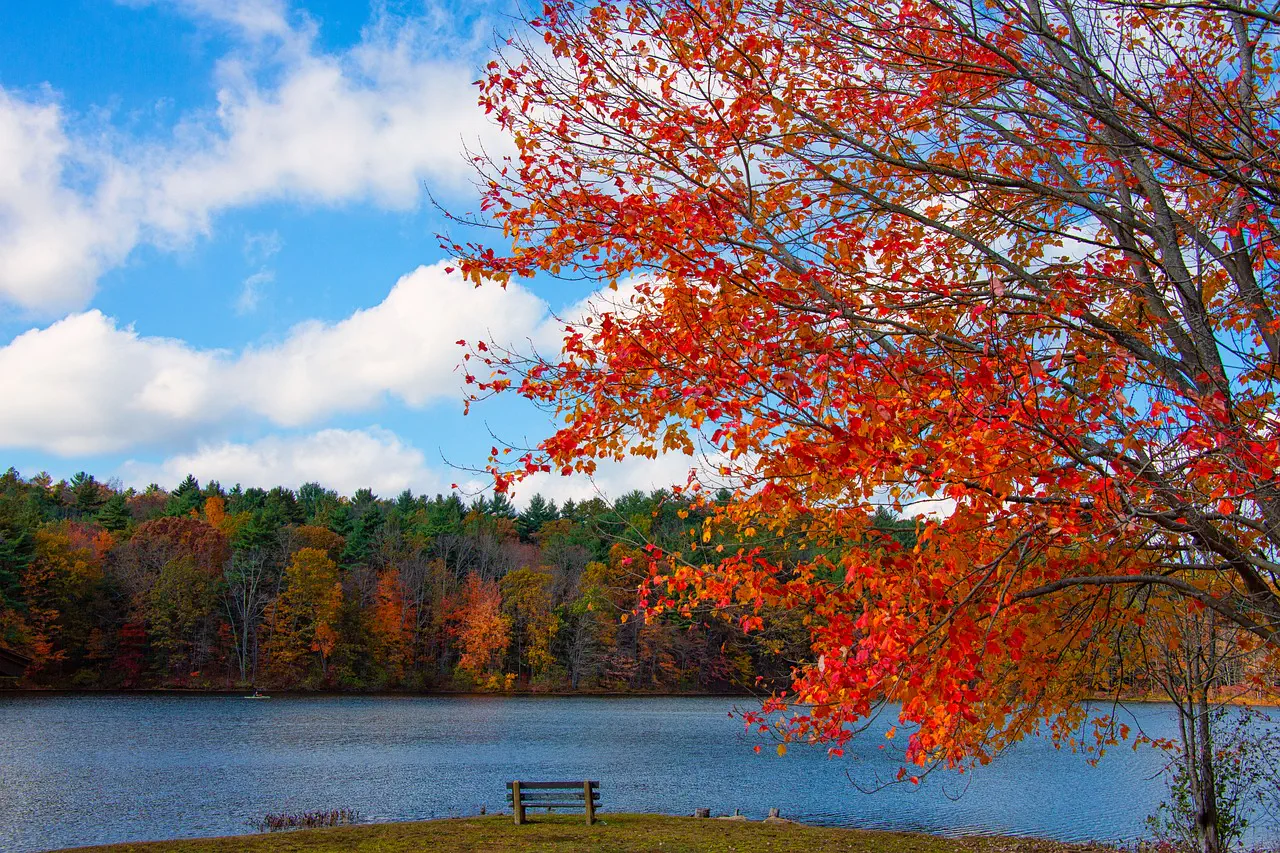 Autumn foliage in New England