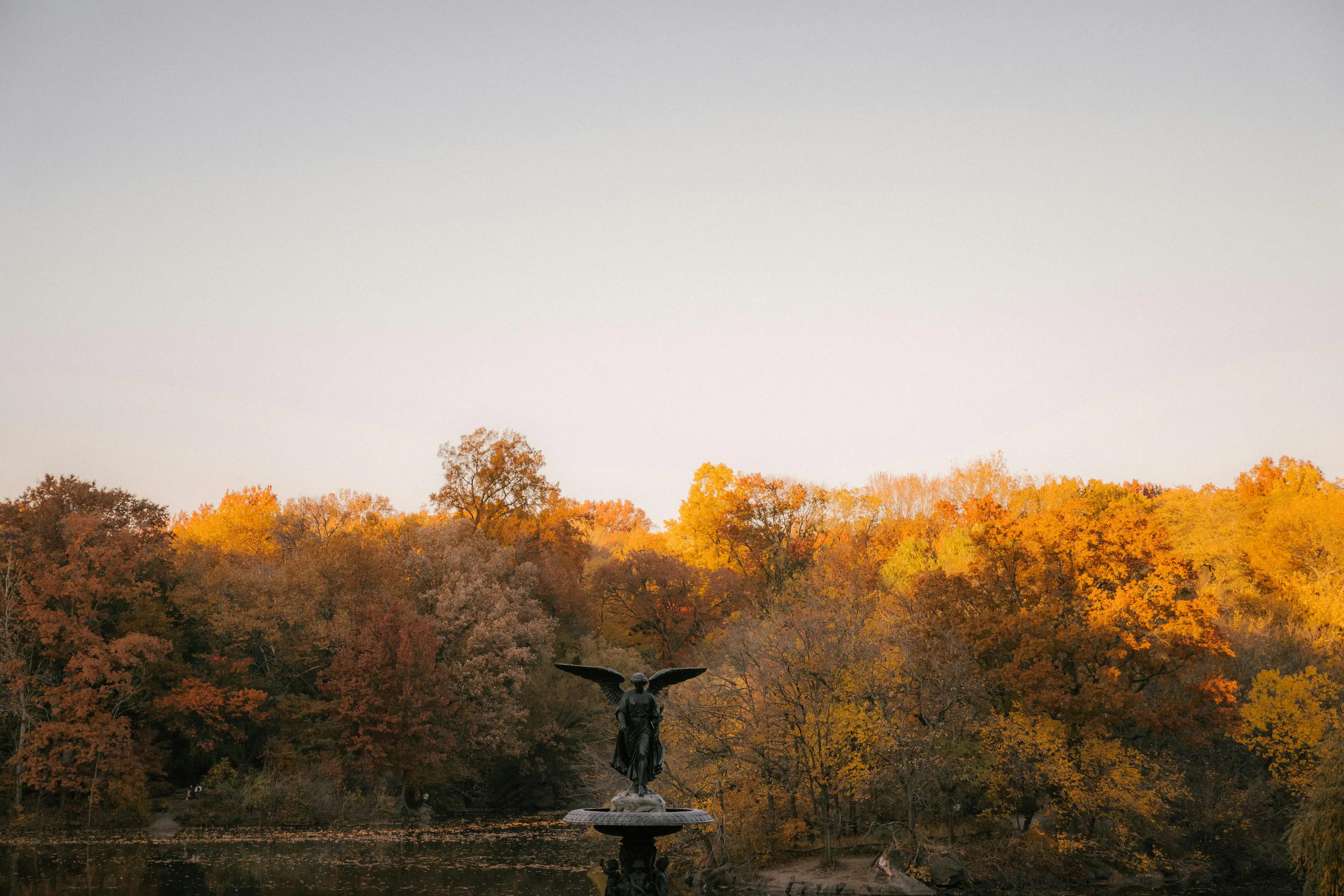 Autumn Foliage